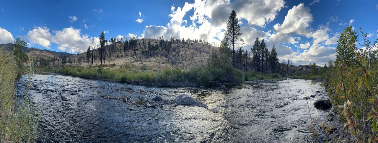 The Carson River in front of the Carson River Resort — the family water — running over a cobble bar between willows, a burned pine ridge above, high cloud.
