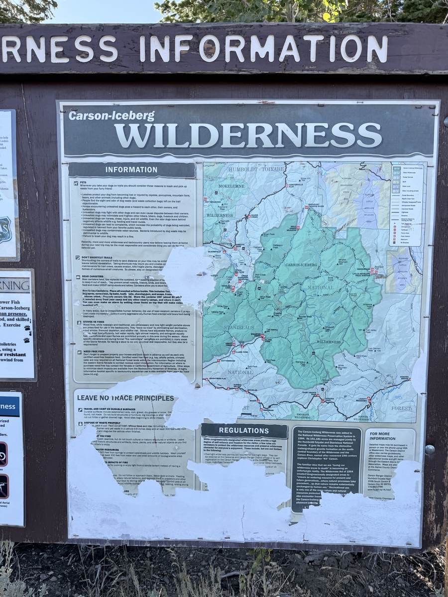 A trailhead board headed Wilderness Information, holding a Carson-Iceberg Wilderness map and its regulations, the paper weathered away across the lower half.
