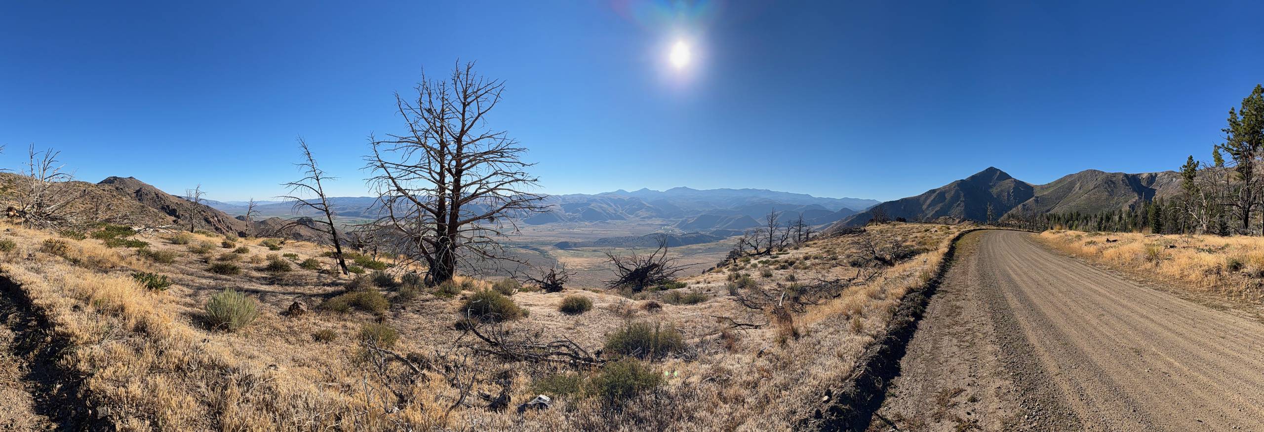 A wide view from a dirt road along a ridge, dead pines in dry grass, a long valley below and range behind range to the horizon.