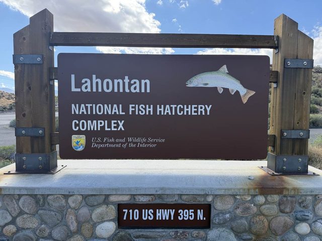 A roadside sign with a painted trout: Lahontan National Fish Hatchery Complex, U.S. Fish and Wildlife Service, Department of the Interior, 710 US Highway 395 North.