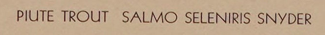 The printed caption, enlarged: PIUTE TROUT SALMO SELENIRIS SNYDER in even sans-serif capitals.